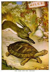 Hare-and-Tortoise-BlogPost-02