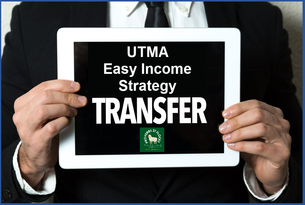 Easy Income Strategy – UTMA Account Buys – Know Your Flocks & Herds